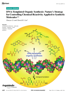 DNA-Templated Organic Synthesis: Nature`s Strategy
