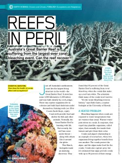 Australia`s Great Barrier Reef is suffering from the largest