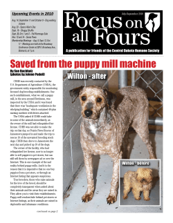 Saved from the puppy mill machine