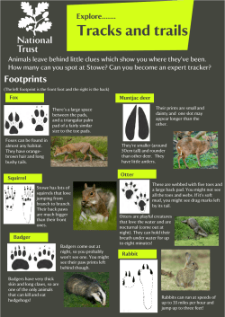 the guide now