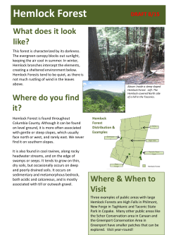 Hemlock Forest - Farmscape Ecology Program