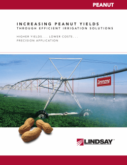Increasing Peanut Yields