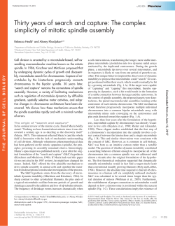 Thirty years of search and capture: The complex simplicity of mitotic