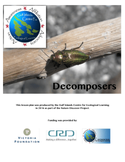 Decomposers - Eco Learning Hive