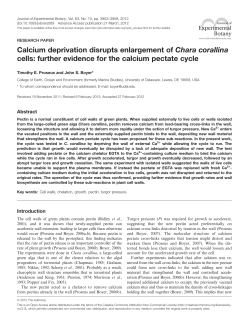 further evidence for the calcium pectate cycle