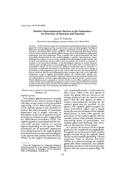 Putative Neuroendrocrine Devices in the Nemertina&mdash; An Overview