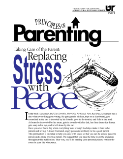 Principles of Parenting - Taking Care of the Parent: Replacing Stress