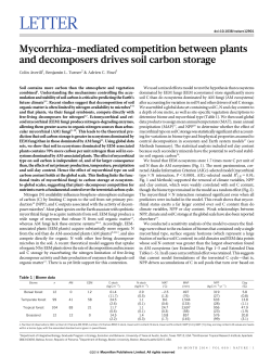 Mycorrhiza-mediated competition between plants and decomposers