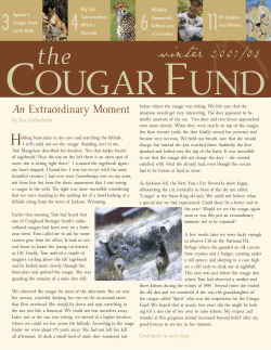 An Extraordinary Moment