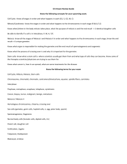Ch 8 Exam Review Guide