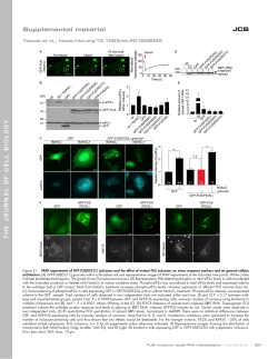 Supplemental Materials