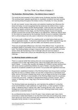 Kelpie Version - So You Think You Want.... (revised