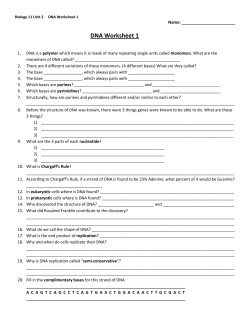 DNA Worksheet 1