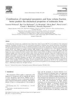 Combination of topological parameters and bone volume fraction