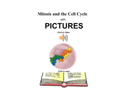 MITOSIS READING STUDY with PICTURES
