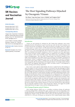 The Host Signaling Pathways Hijacked by Oncogenic Viruses
