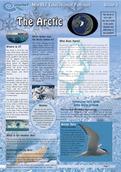 Arctic Ocean
