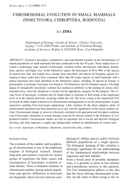 chromosomal evolution in small mammals (insectivora, chiroptera