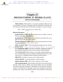Photosynthesis In Higher Plants