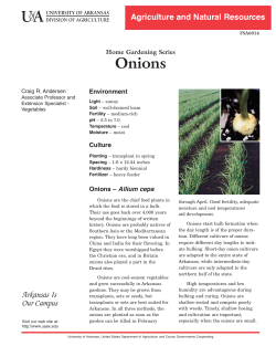 Onions (Home Gardening Series) - FSA6014