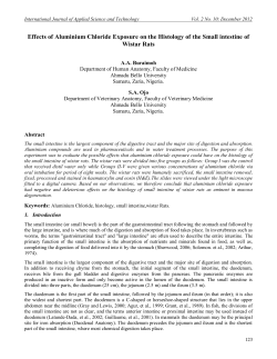 Effects of Aluminium Chloride Exposure on the Histology of the