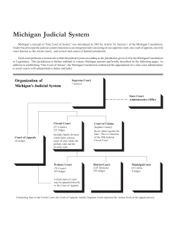 Michigan Judicial System