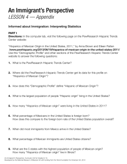 An Immigrant`s Perspective - National Museum of Mexican Art