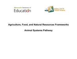Animal Systems Pathway