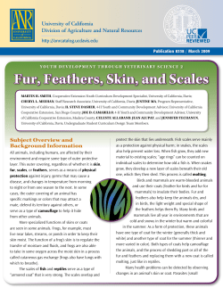 Fur, Feathers, Skin, and Scales