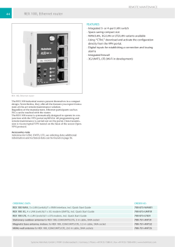 REX 100, Ethernet router