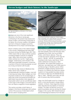 Devon hedges and their history in the landscape
