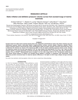 Static inflation and deflation pressure&ndash;volume curves from excised