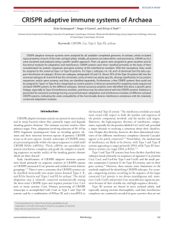 CRISPR adaptive immune systems of Archaea