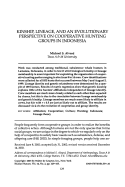 Kinship, lineage, and an evolutionary perspective on