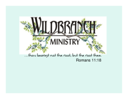 The Principle of the Seed