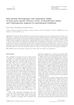 Soil nutrient heterogeneity and competitive ability of
