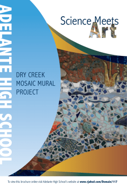 Science Meets Art - Roseville Joint Union High School District