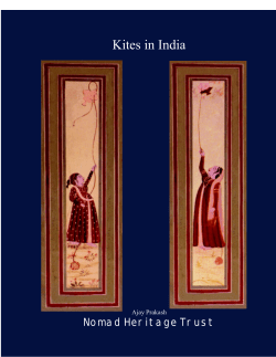 Kites in India - Fighter Kite central