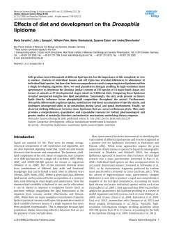 Effects of diet and development on the Drosophila lipidome