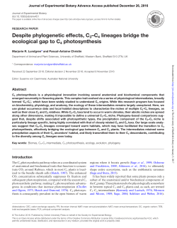 Despite phylogenetic effects, C3&ndash;C4 lineages bridge the ecological