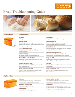 Bread Troubleshooting Guide