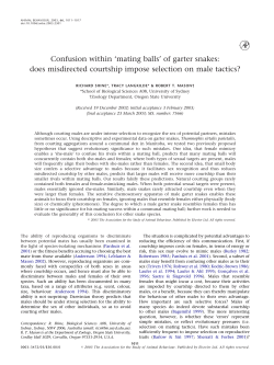 Confusion within `mating balls` of garter snakes: does misdirected