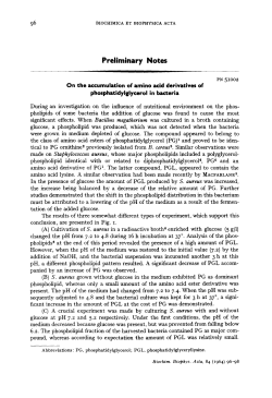 Preliminary Notes - Utrecht University Repository