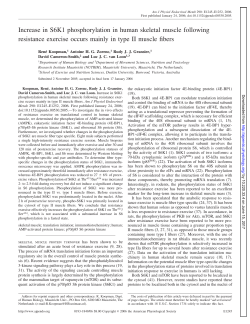 Increase in S6K1 phosphorylation in human skeletal muscle