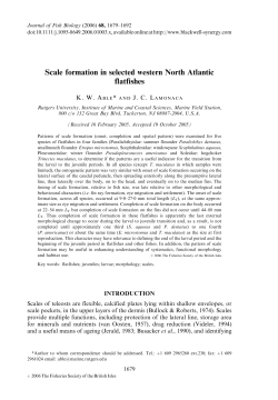 Scale formation in selected western North Atlantic