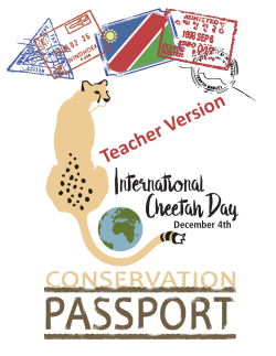 Teacher Version - International Cheetah Day