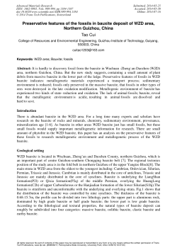 Preservative features of the fossils in bauxite deposit of