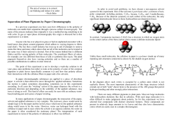 Separation of Plant Pigments by Paper Chromatography