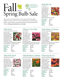 Spring Bulb Sale - Coastal Maine Botanical Gardens