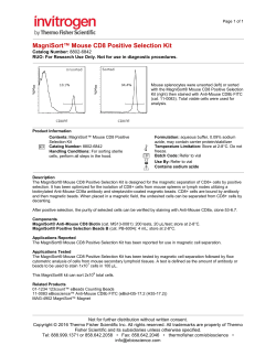 MagniSort&trade; Mouse CD8 Positive Selection Kit